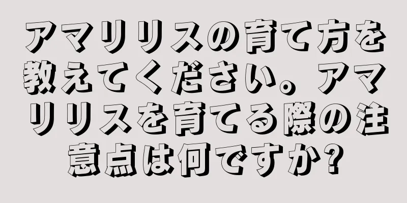 アマリリスの育て方を教えてください。アマリリスを育てる際の注意点は何ですか?