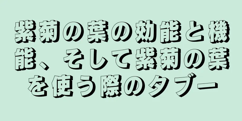 紫菊の葉の効能と機能、そして紫菊の葉を使う際のタブー