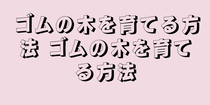ゴムの木を育てる方法 ゴムの木を育てる方法