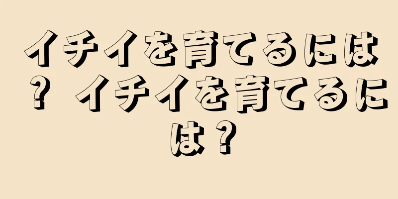 イチイを育てるには？ イチイを育てるには？