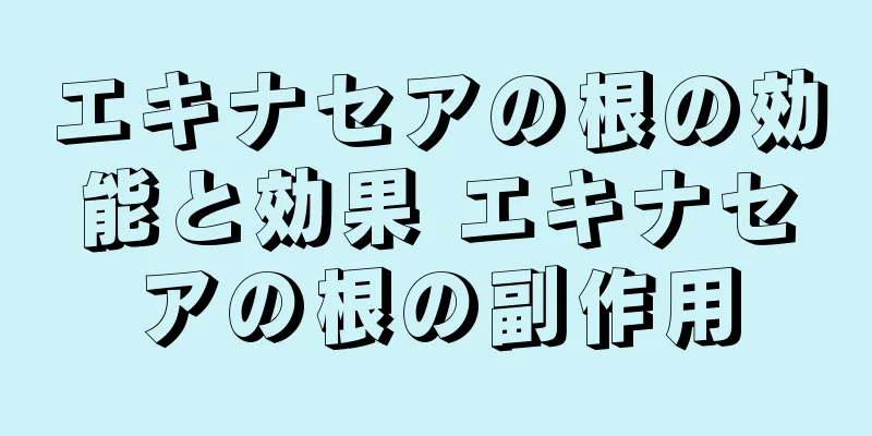 エキナセアの根の効能と効果 エキナセアの根の副作用