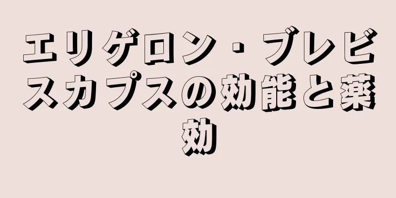 エリゲロン・ブレビスカプスの効能と薬効