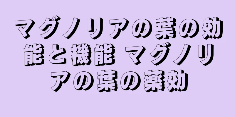 マグノリアの葉の効能と機能 マグノリアの葉の薬効
