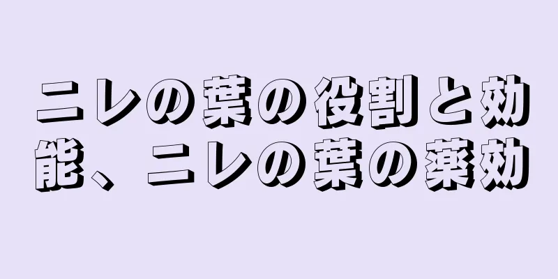 ニレの葉の役割と効能、ニレの葉の薬効
