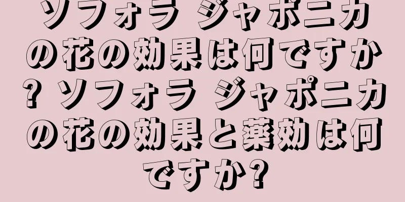 ソフォラ ジャポニカの花の効果は何ですか? ソフォラ ジャポニカの花の効果と薬効は何ですか?