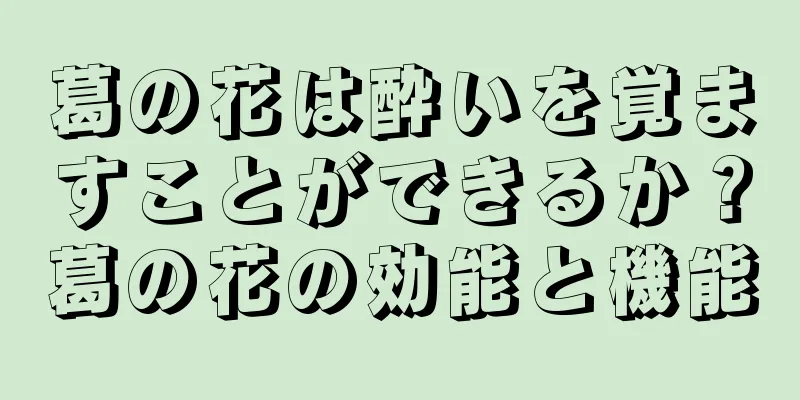 葛の花は酔いを覚ますことができるか？葛の花の効能と機能