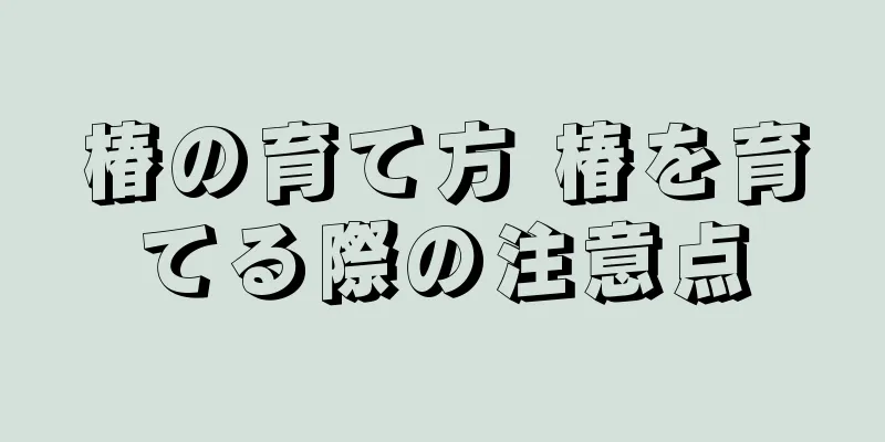椿の育て方 椿を育てる際の注意点