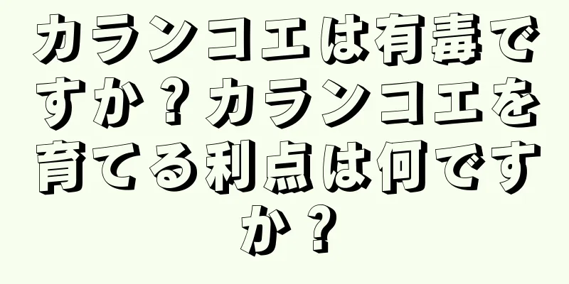 カランコエは有毒ですか？カランコエを育てる利点は何ですか？