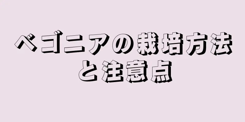 ベゴニアの栽培方法と注意点