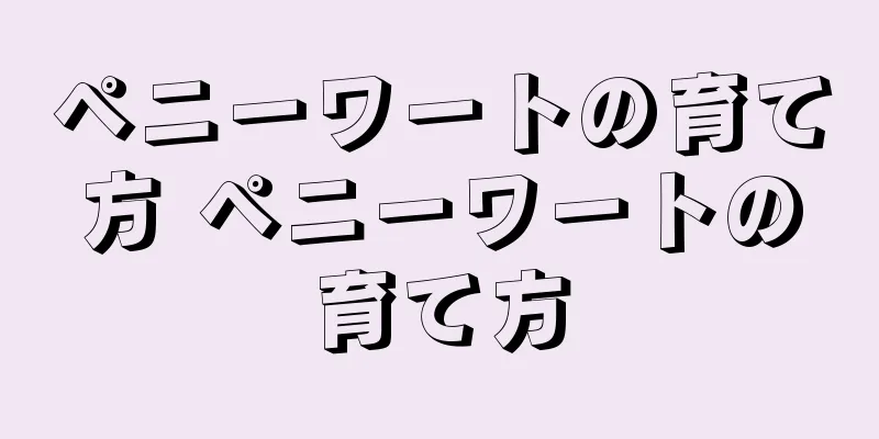 ペニーワートの育て方 ペニーワートの育て方