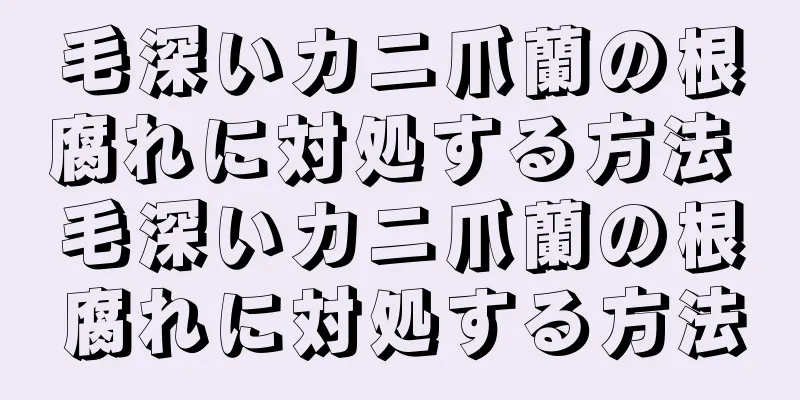 毛深いカニ爪蘭の根腐れに対処する方法 毛深いカニ爪蘭の根腐れに対処する方法