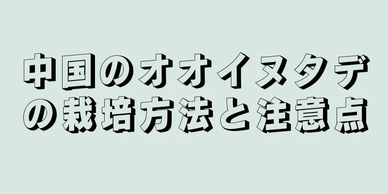 中国のオオイヌタデの栽培方法と注意点