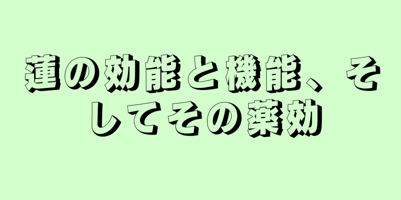 蓮の効能と機能、そしてその薬効