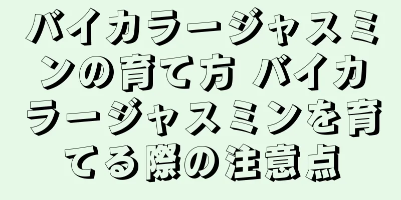 バイカラージャスミンの育て方 バイカラージャスミンを育てる際の注意点