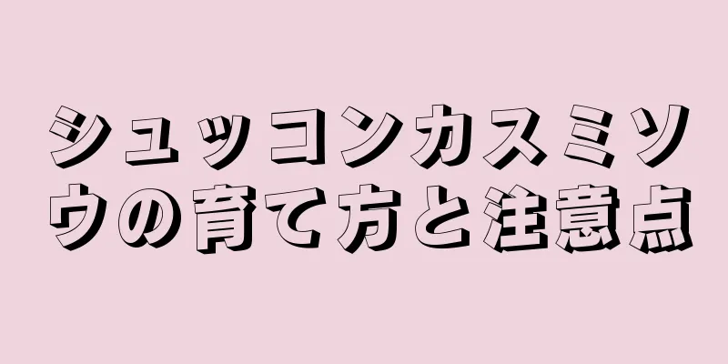 シュッコンカスミソウの育て方と注意点
