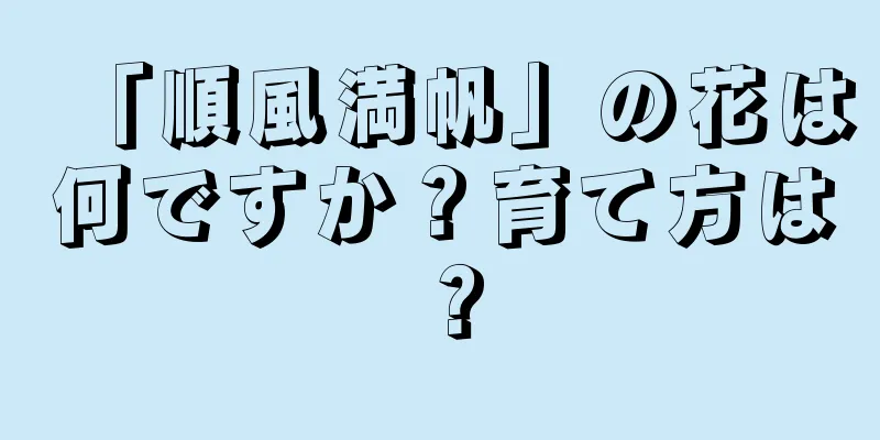 「順風満帆」の花は何ですか？育て方は？
