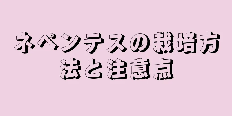 ネペンテスの栽培方法と注意点