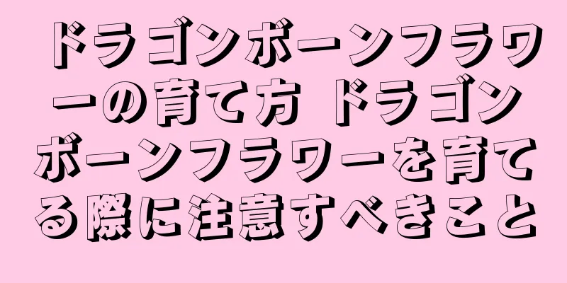 ドラゴンボーンフラワーの育て方 ドラゴンボーンフラワーを育てる際に注意すべきこと