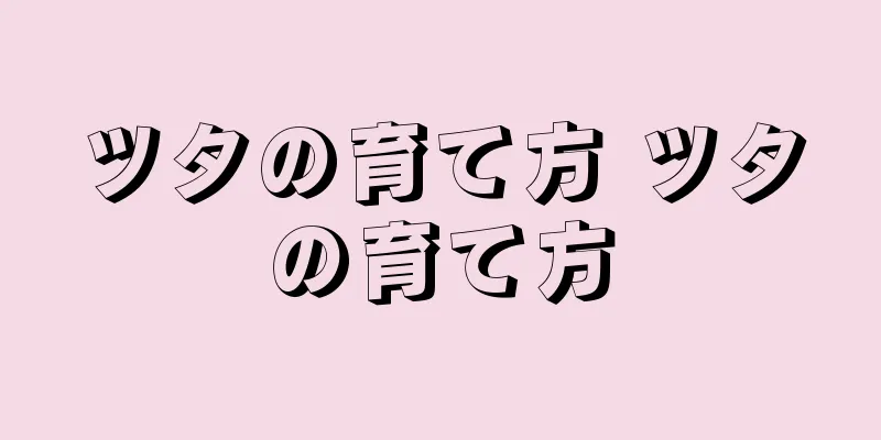 ツタの育て方 ツタの育て方