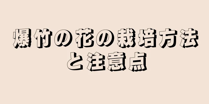 爆竹の花の栽培方法と注意点