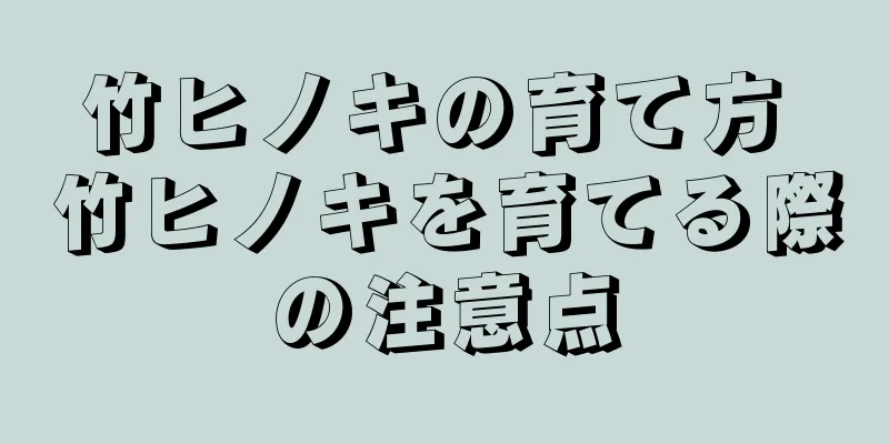 竹ヒノキの育て方 竹ヒノキを育てる際の注意点