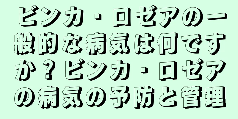 ビンカ・ロゼアの一般的な病気は何ですか？ビンカ・ロゼアの病気の予防と管理