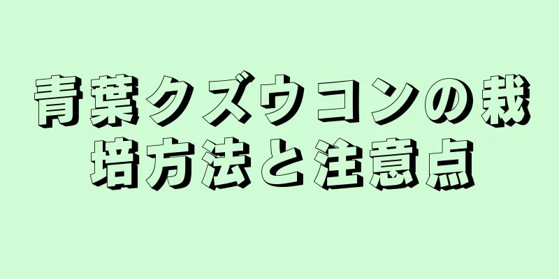 青葉クズウコンの栽培方法と注意点