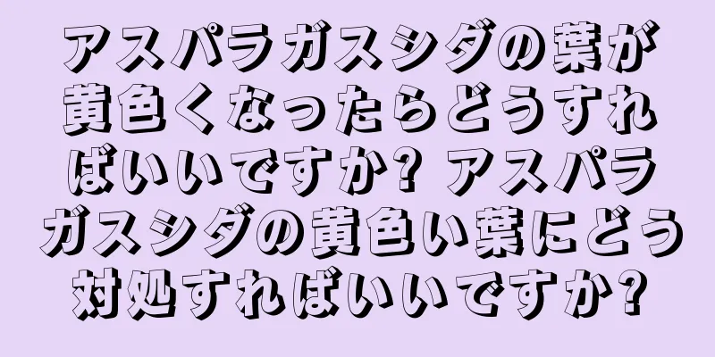 アスパラガスシダの葉が黄色くなったらどうすればいいですか? アスパラガスシダの黄色い葉にどう対処すればいいですか?