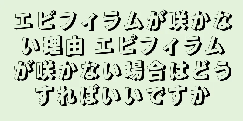 エピフィラムが咲かない理由 エピフィラムが咲かない場合はどうすればいいですか
