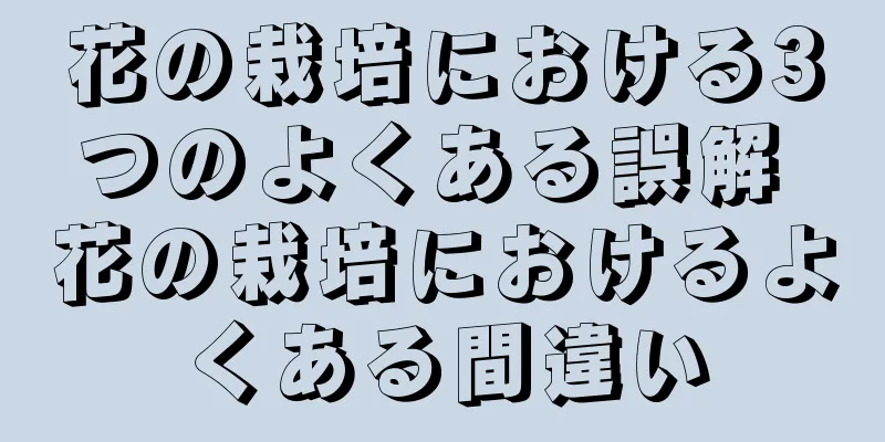 花の栽培における3つのよくある誤解 花の栽培におけるよくある間違い