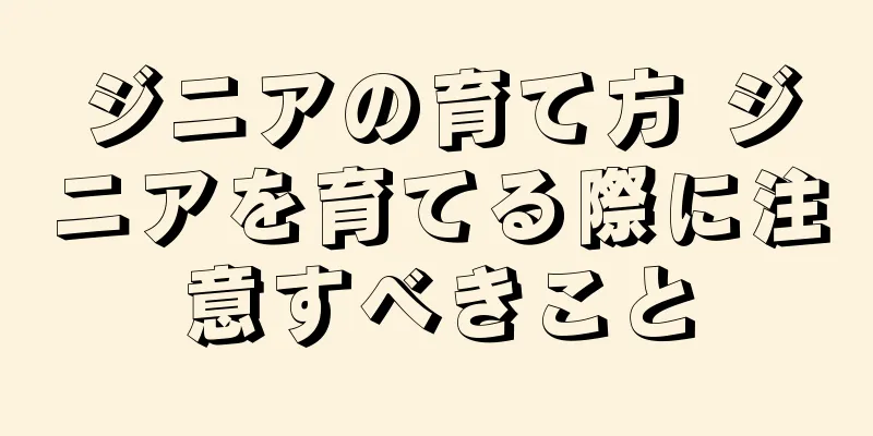 ジニアの育て方 ジニアを育てる際に注意すべきこと