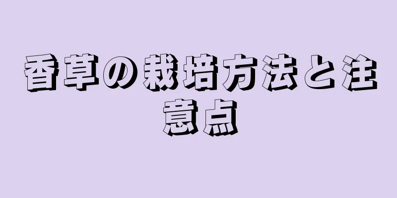 香草の栽培方法と注意点