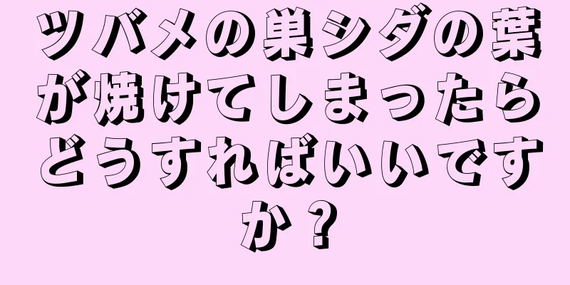 ツバメの巣シダの葉が焼けてしまったらどうすればいいですか？