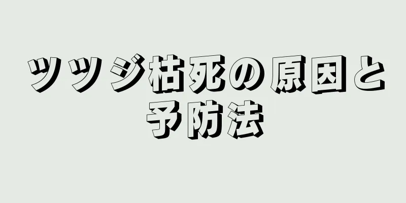 ツツジ枯死の原因と予防法