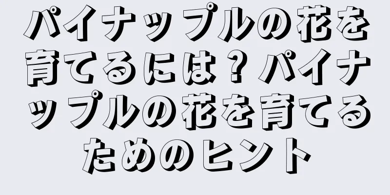 パイナップルの花を育てるには？パイナップルの花を育てるためのヒント