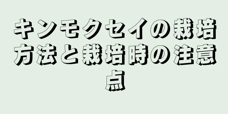 キンモクセイの栽培方法と栽培時の注意点