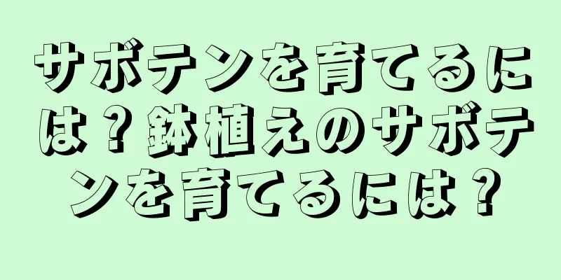 サボテンを育てるには？鉢植えのサボテンを育てるには？