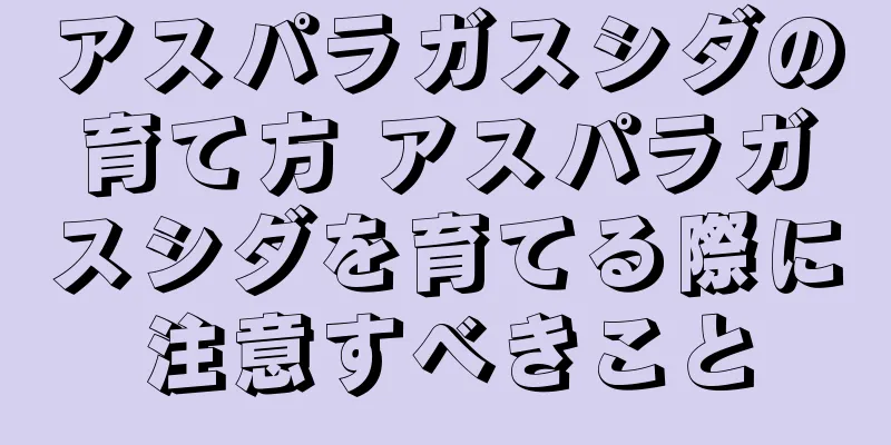 アスパラガスシダの育て方 アスパラガスシダを育てる際に注意すべきこと