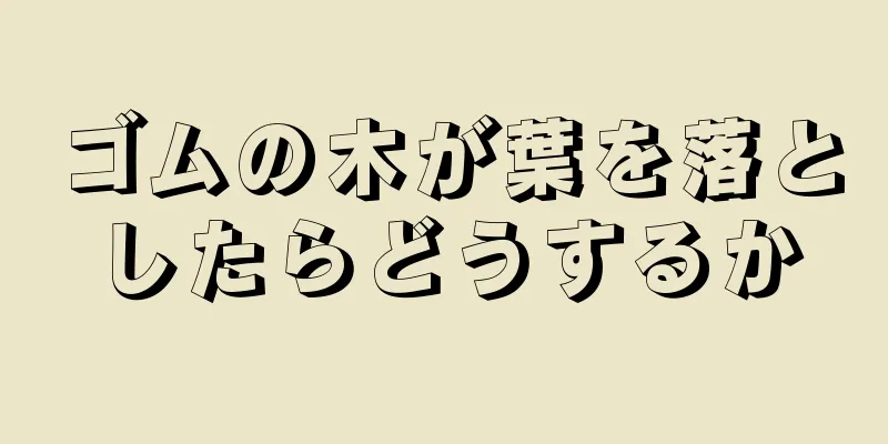 ゴムの木が葉を落としたらどうするか