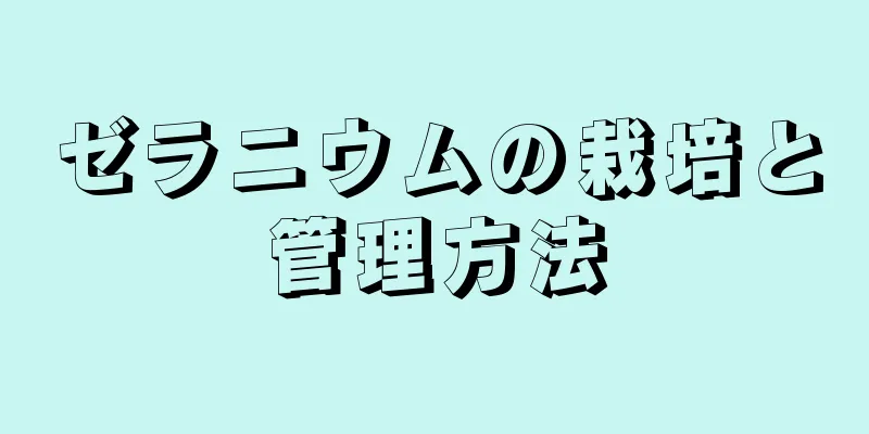 ゼラニウムの栽培と管理方法