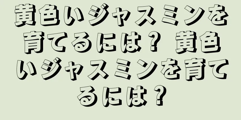 黄色いジャスミンを育てるには？ 黄色いジャスミンを育てるには？