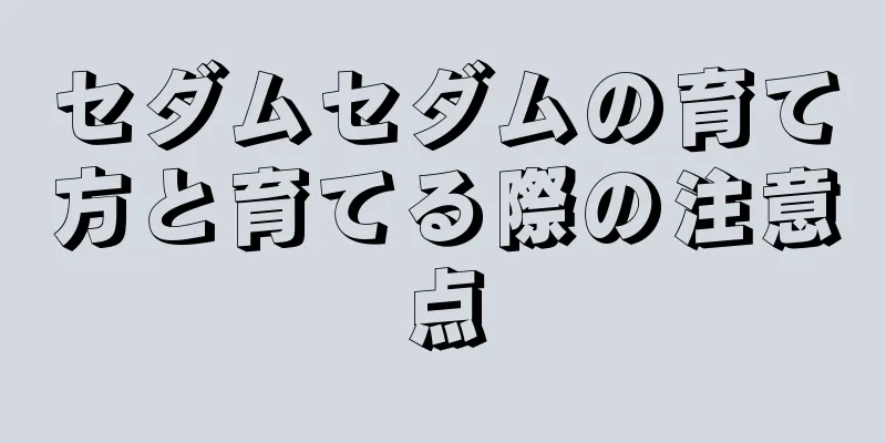 セダムセダムの育て方と育てる際の注意点