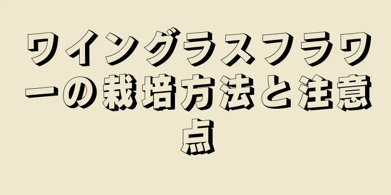 ワイングラスフラワーの栽培方法と注意点