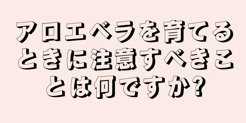 アロエベラを育てるときに注意すべきことは何ですか?
