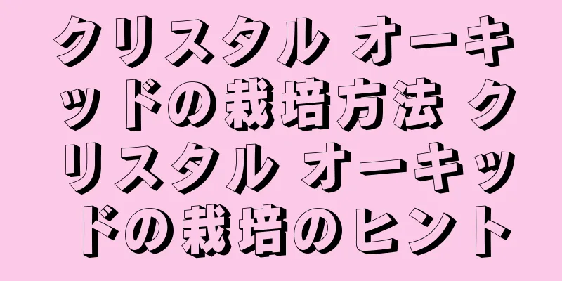 クリスタル オーキッドの栽培方法 クリスタル オーキッドの栽培のヒント