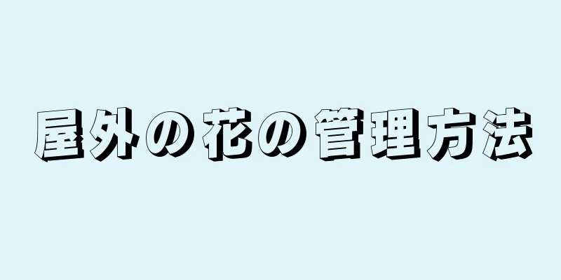 屋外の花の管理方法