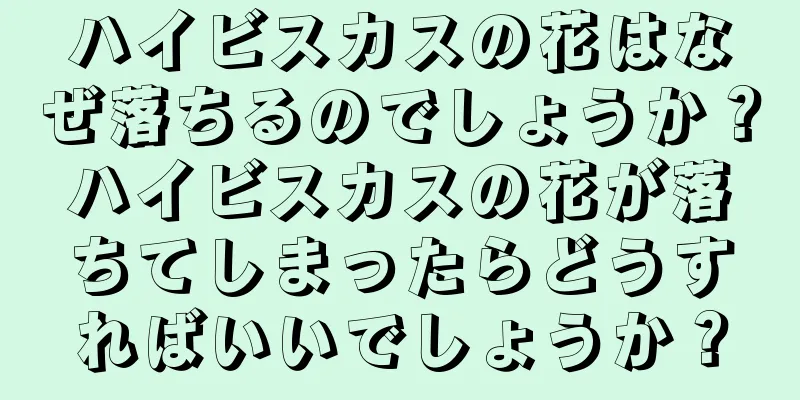 ハイビスカスの花はなぜ落ちるのでしょうか？ハイビスカスの花が落ちてしまったらどうすればいいでしょうか？