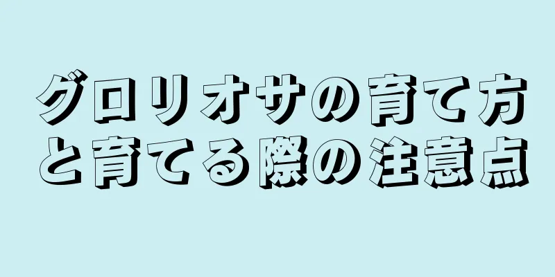 グロリオサの育て方と育てる際の注意点