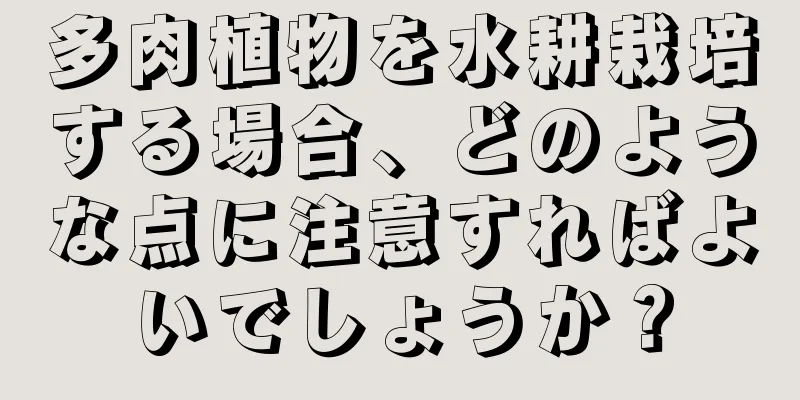 多肉植物を水耕栽培する場合、どのような点に注意すればよいでしょうか？