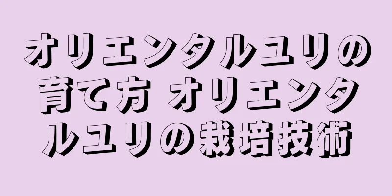 オリエンタルユリの育て方 オリエンタルユリの栽培技術